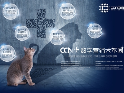 CCNһһaĸИI(y)(sh)ֻINI(y)(w)